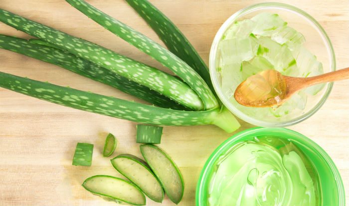 aloe vera एलो वेरा का जूस करे खांसी सर्दी और जुकाम को दूर